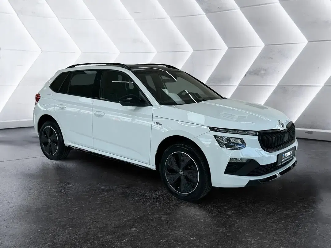 Skoda Kamiq - Thumbnail 3