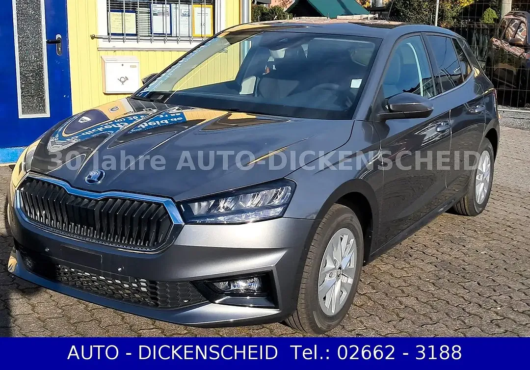 Skoda Fabia - Thumbnail 1