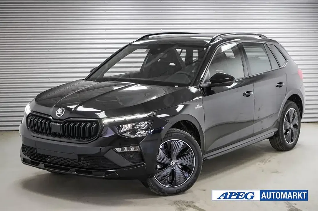 Skoda Kamiq - Thumbnail 1