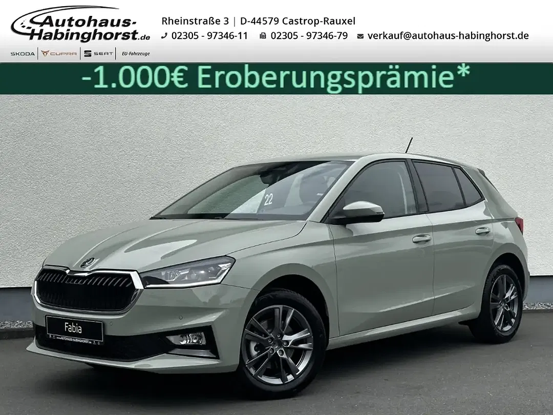 Skoda Fabia - Thumbnail 1