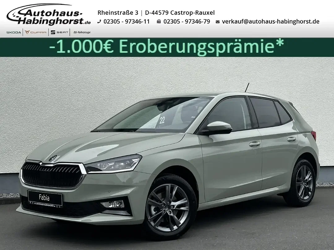 Skoda Fabia - Afbeelding 1