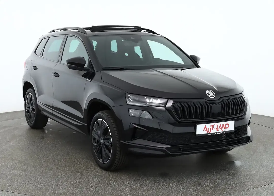 Skoda Karoq - Thumbnail 6