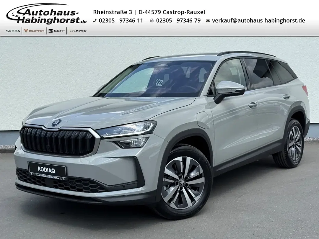 Skoda Kodiaq - Afbeelding 1