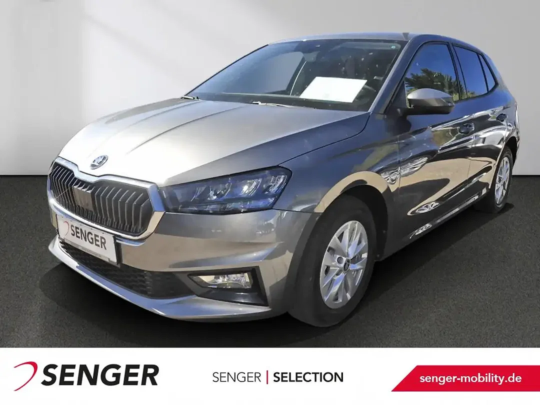 Skoda Fabia - Afbeelding 1