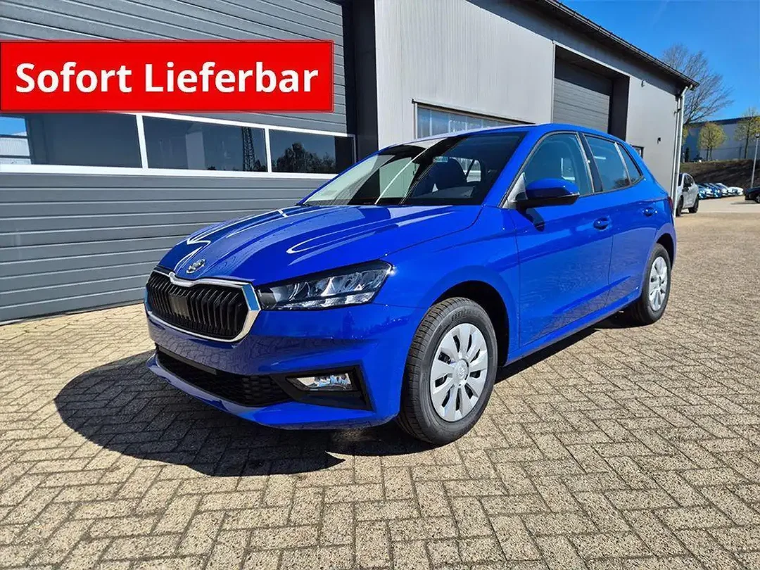Skoda Fabia - Afbeelding 1