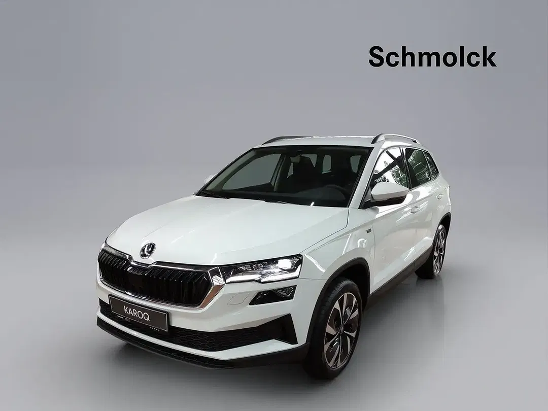 Skoda Karoq - Thumbnail 1