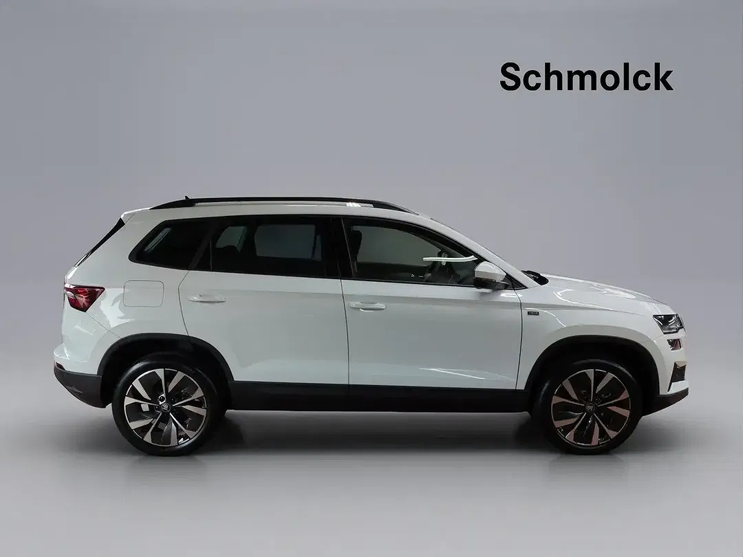 Skoda Karoq - Thumbnail 3