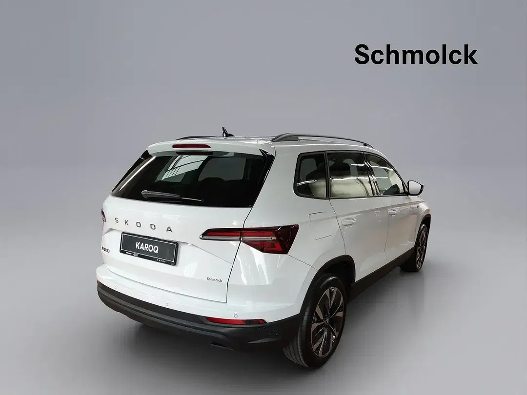 Skoda Karoq - Thumbnail 4