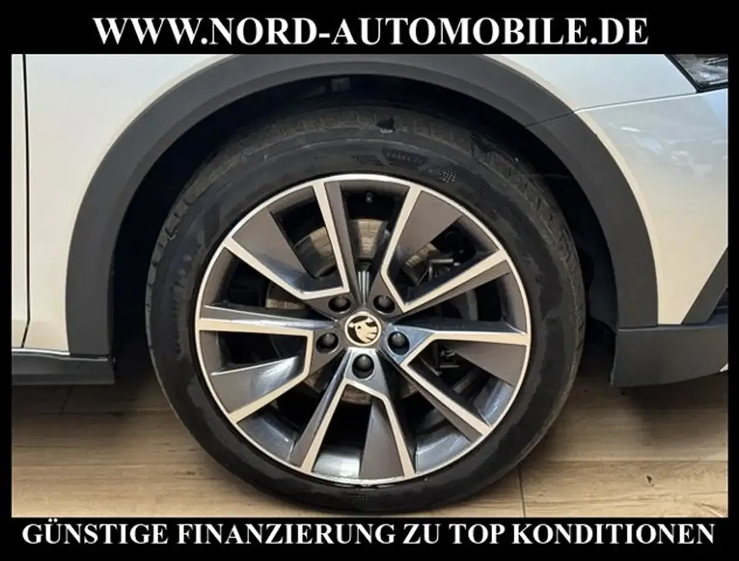 Skoda Octavia - Thumbnail 12