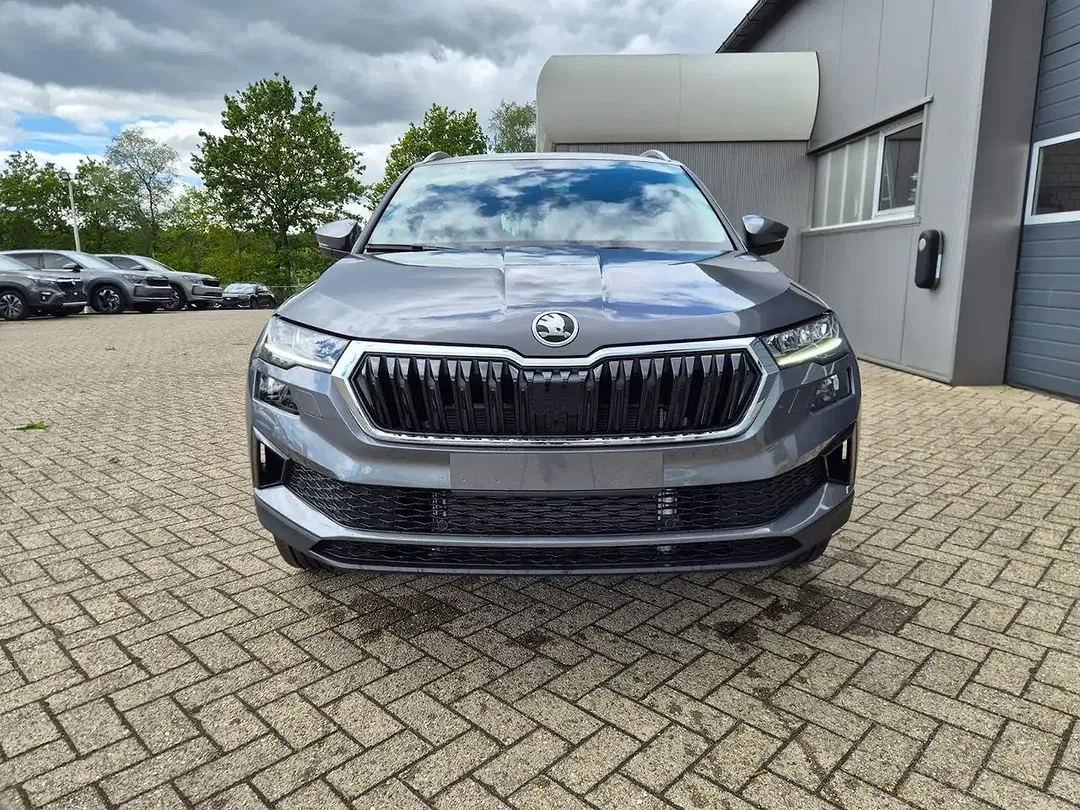 Skoda Karoq - Thumbnail 7