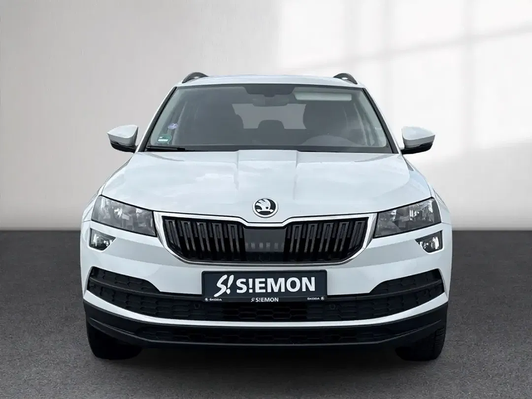 Skoda Karoq - Thumbnail 8