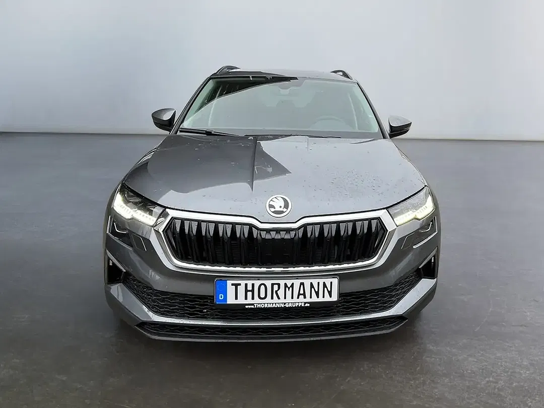 Skoda Karoq - Thumbnail 6